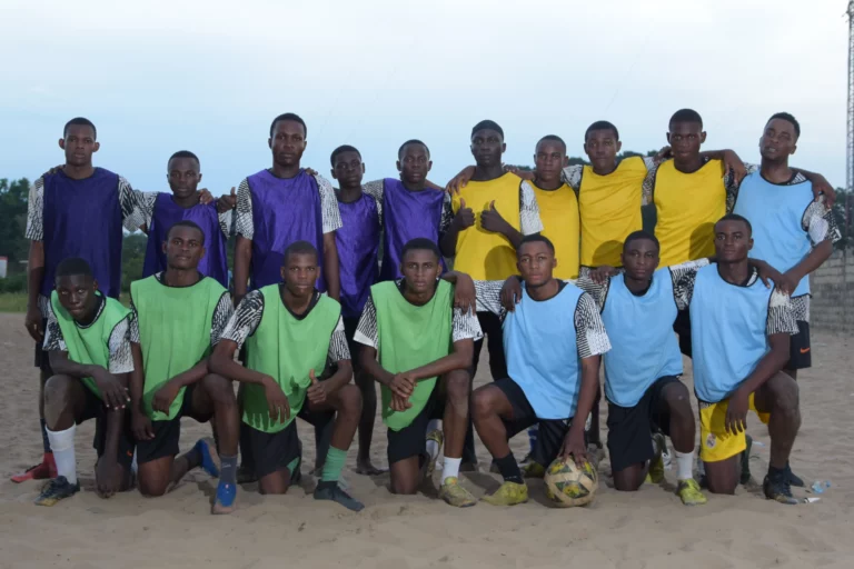 L&rsquo;AFVG se dote d&rsquo;un site web